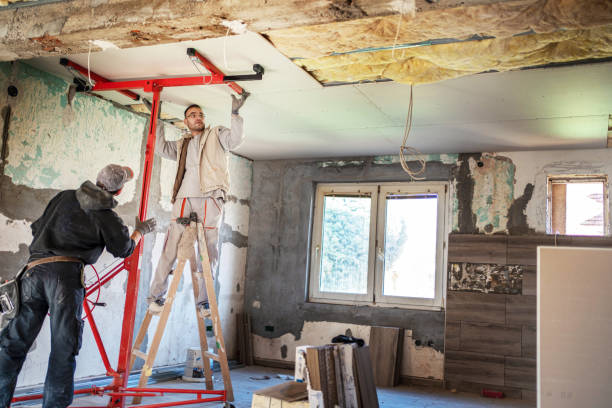 Best Cellulose Insulation  in Metairie, LA